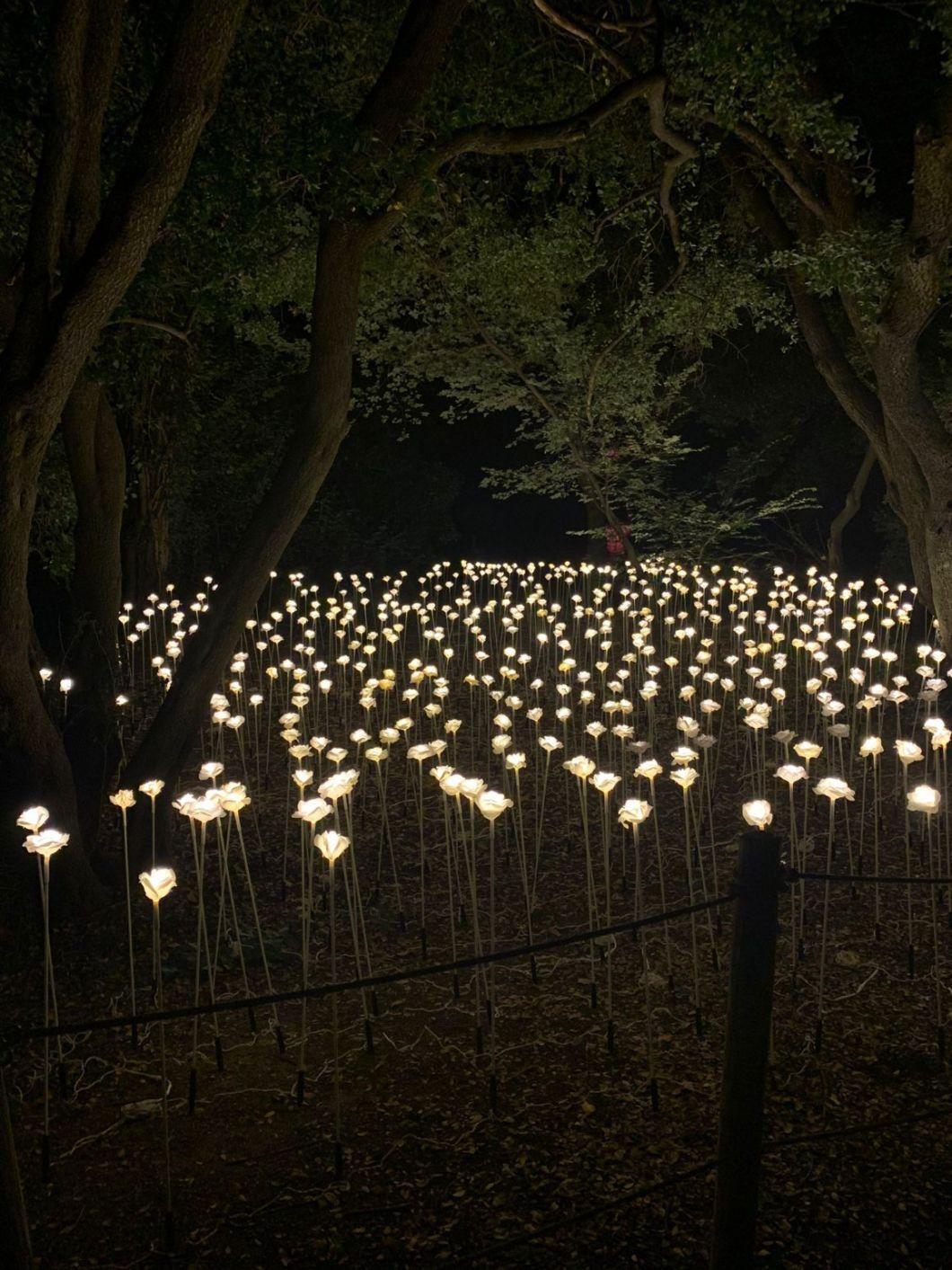 LED Rose Flower Lights Christmas Lawn Lighting Decorations