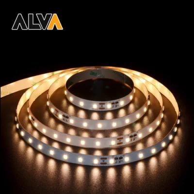 High Lumen 80PCS/M SMD2835 Flexible Rope Light 12V 24V LED Strip with TUV CE, IEC