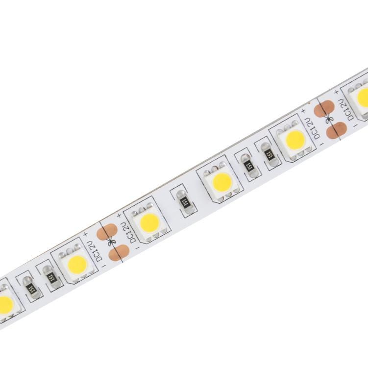 3 Years Warranty High Brightness DC12V / 24V SMD 5050 LED Strip