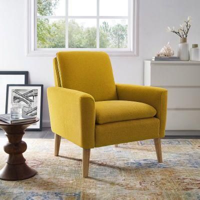 European Velvet Dining Chair, Lion Knocker Outdoor Chair, Tolix Chair Stainless Legs