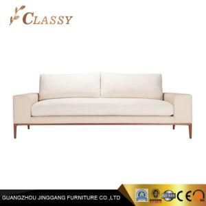 Hot Sale Sofa Velvet Furniture Sofa for Two Person Use