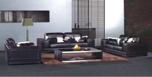 Modern Leather Sofa with Genuine Leather Couches