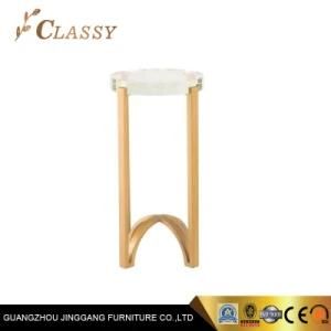 Small Slim Metal Glass Side Table in Golden Stainless Steel Frame