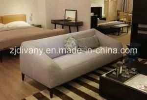 Modern Style Living Room 2 Seats Fabric Sofa Furniture (D-76-B)