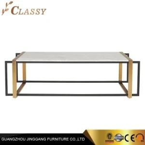 Granite Marble Rectangle Coffee Table in Combined Stainless Steel Legs