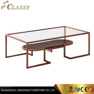 Modern Rectangle Glass Coffee Table with 2 Layers Metal Frame