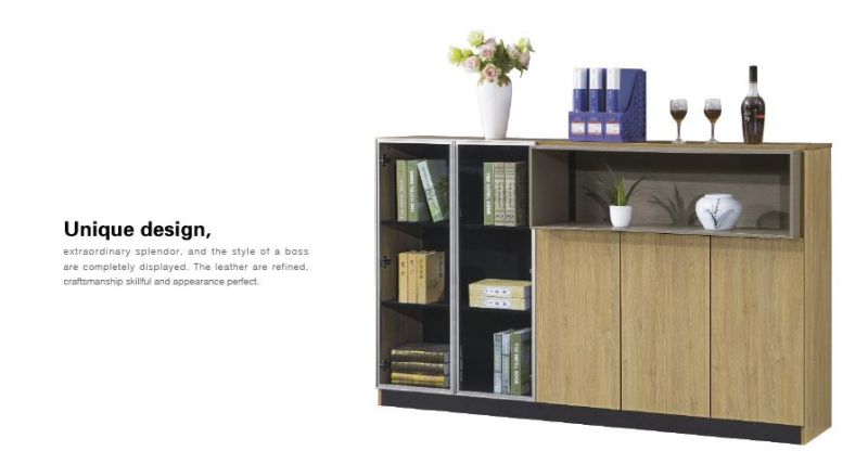 Unique Design Furniture Bookcese Office File Cabinet Storage Kitchen Cupboard