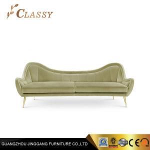 Leisure Living Room Sofa Velvet Sofa Set