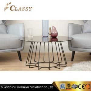 Living Room Special Shape Simple Style Stainless Steel Glass Top Coffee Table