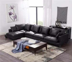 Fashion Modern Genuine Leather Sofa with All Designs