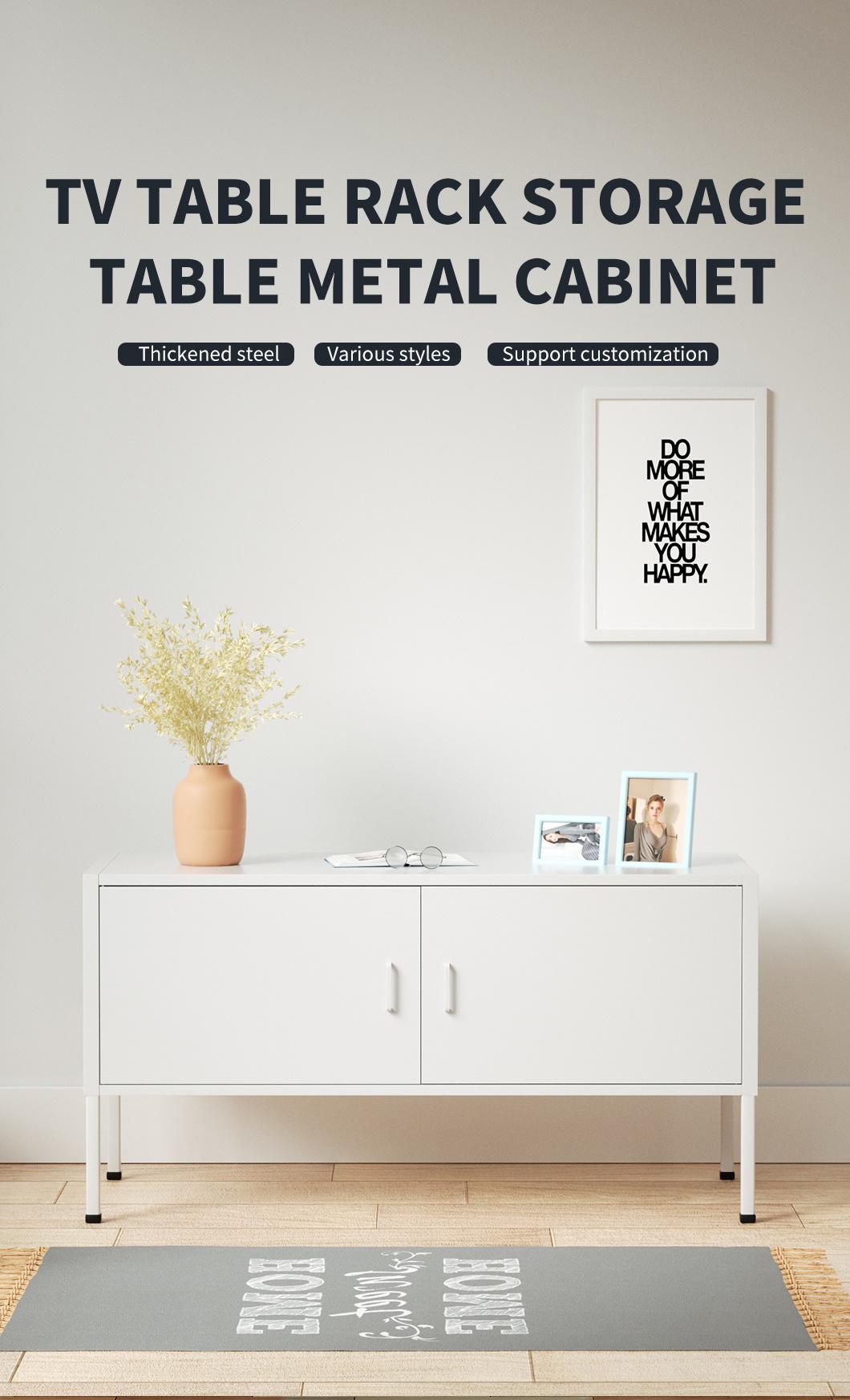 Industrial Style Steel TV Cabinet for Furniture TV Stands Design Cabinets