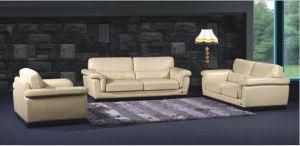 Modern Leather Sofa with Genuine Leather Couches