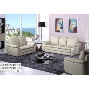 Living Room Leisure Sofa, Leather Sofa (WD-6791)
