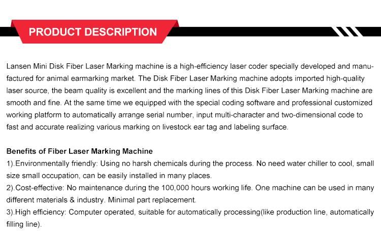 30W Raycus Disk Batch Marking Fiber Machine