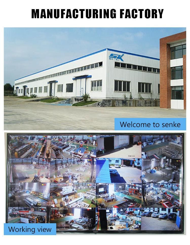 Raycus Max Ipg Ss CS Aluminum 1000W 1500W 2000W 3000W Till 12000W Small 1530 2060 Tubes/Pipes Fiber Laser Raytool Control Router CNC Metal Cutting Machine