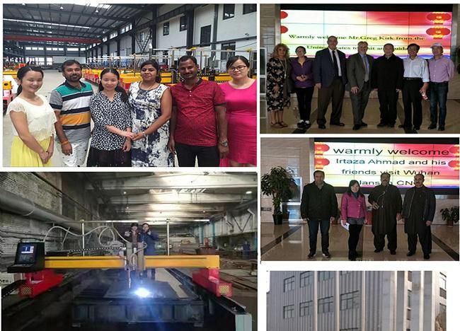 Lansun Large Cutting Range CNC Fiber Laser Cutting Machine Gantry Cutter 3kw/6kw/8kw/12kw
