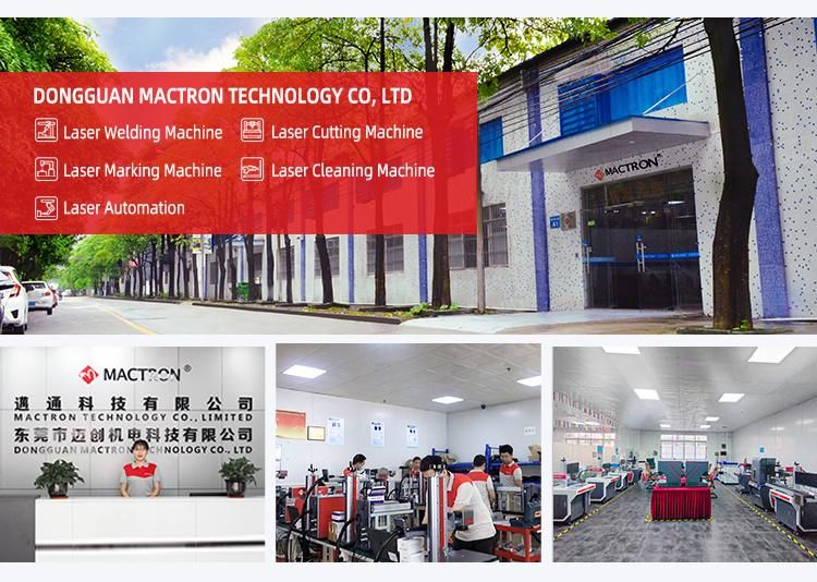 Laser Cattle Ear Tag Printing Machines Optical Fiber Laser Marking Machine Price