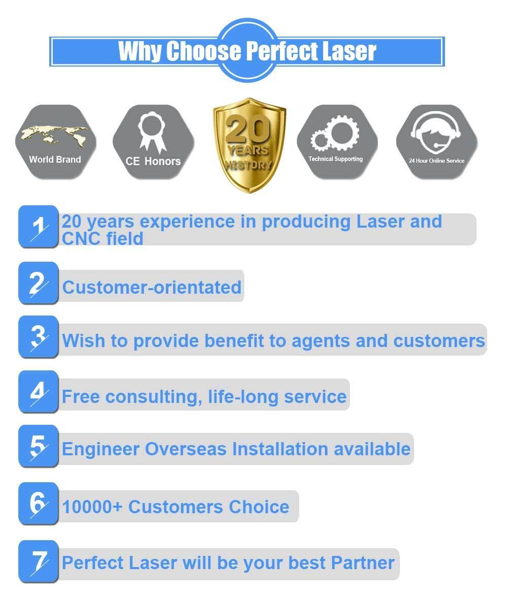 Textile Garment Laser Engraving Machine for Cloth Industry with Ce