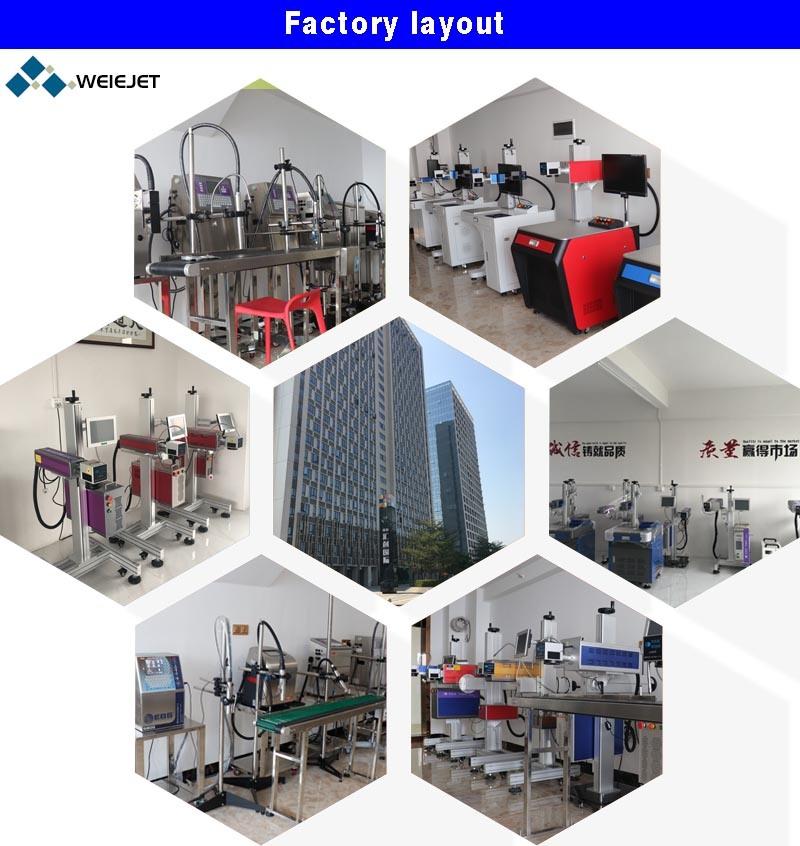 CO2 on-Line Flying Laser Printing & Marking Machine Equipment Printer for Wood/Food/Water
