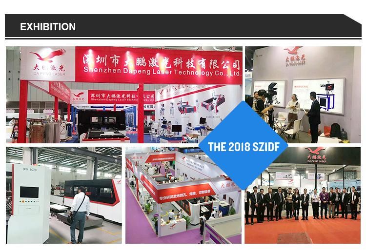 Laser Marking Machine for Metal Closed Cabinet Enclosed 20W 30W 50W