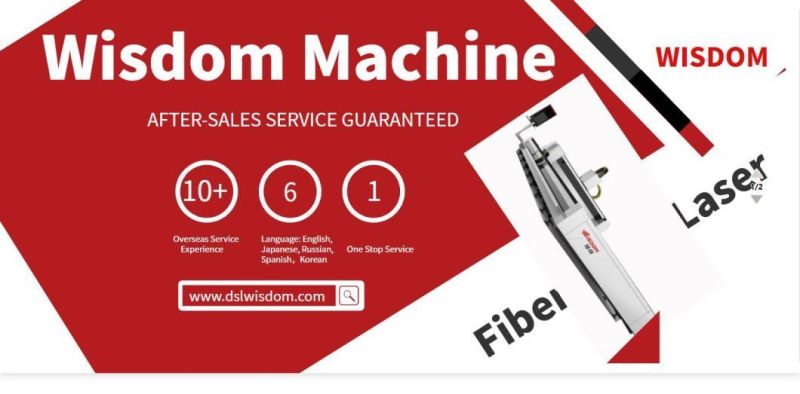 2000 Watt 3000 Watt 6020 Fiber Laser Cutting Machine Customized for European Market