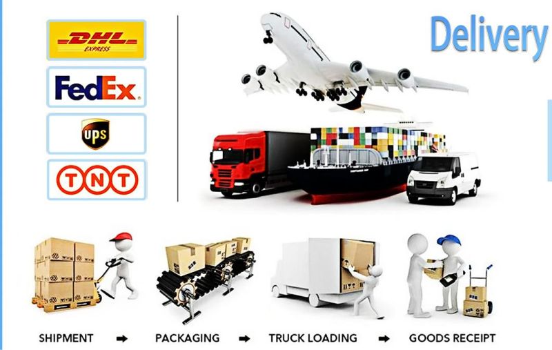 Lbc30 30W CO2 Laser Marking Machine for PVC/PPR/HDPE Pipe Fly Mode for Automatic Production Laser Machinery