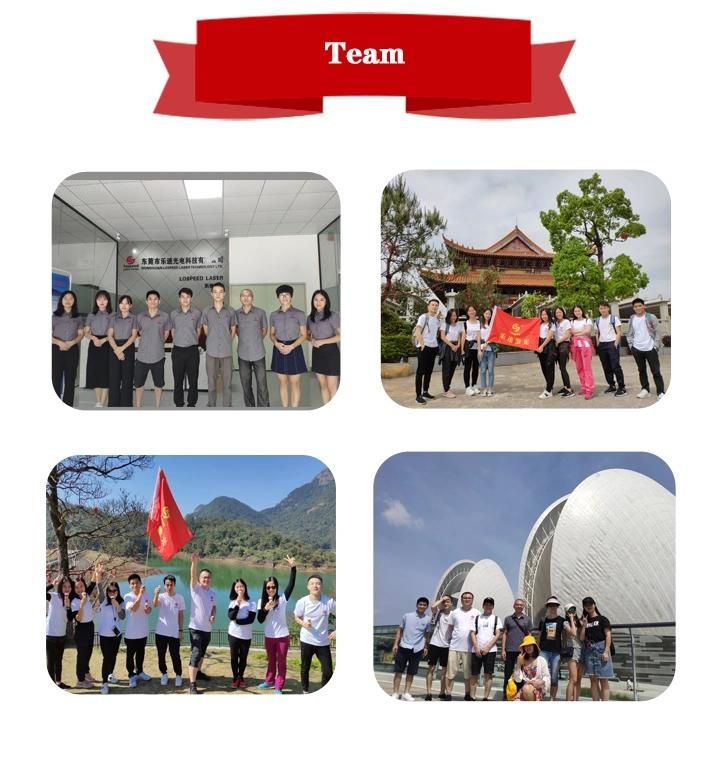 Hispeed Laser Metal Laser Printer Fiber Laser Marking Engraving Equipment
