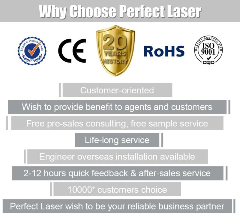 Low Cost Leather Laser Engraving Machine for Sale with Ce FDA