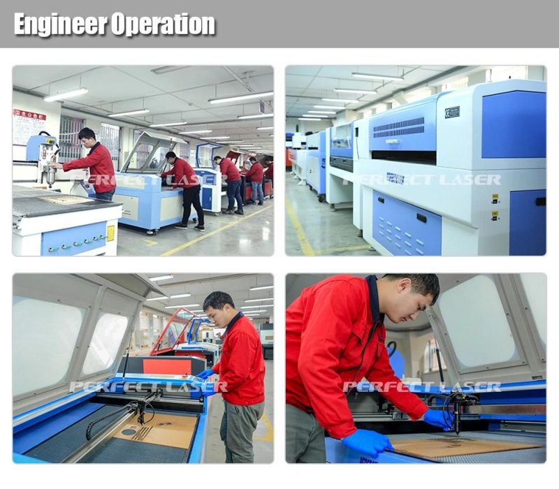 Low Cost Leather Laser Engraving Machine for Sale with Ce FDA