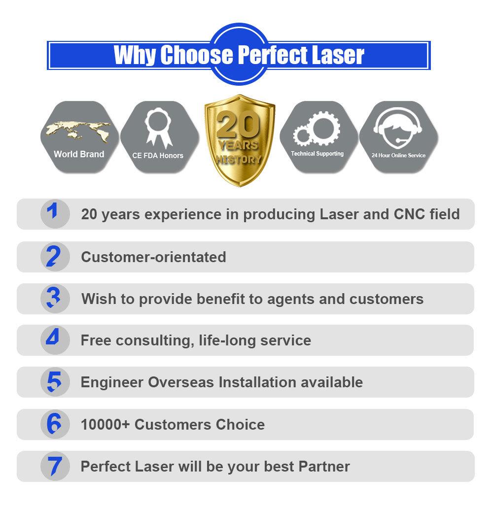 High Speed Flying CO2 Laser Marking Machine with Production Line