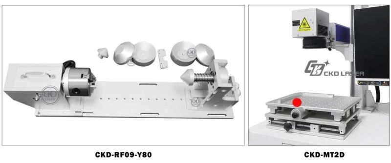Ss Laser Engraving Machine for Logo Series Number Permanent Printing