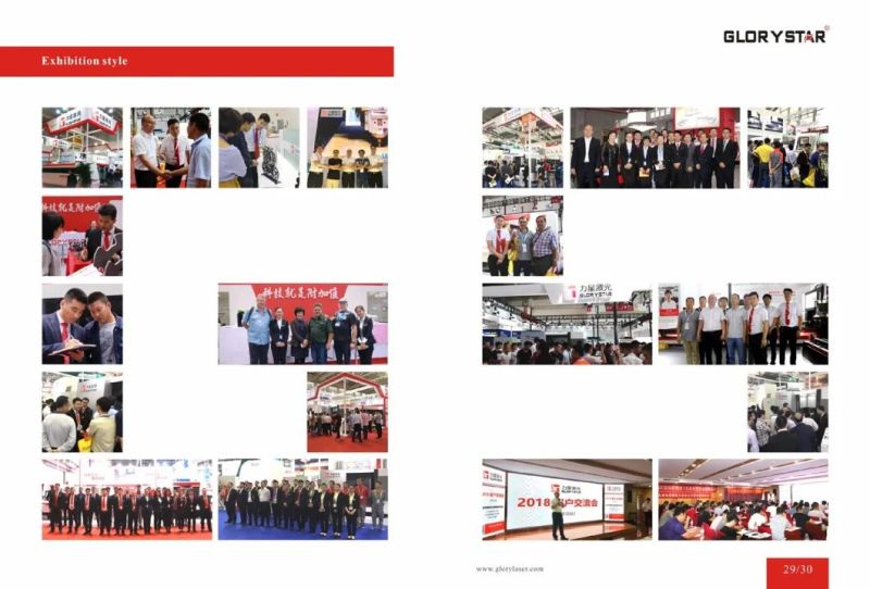 High-Speed Professional Tube Laser Cutting Machine (1000W-6000W) for Stainless Steel Plate with CE/FDA