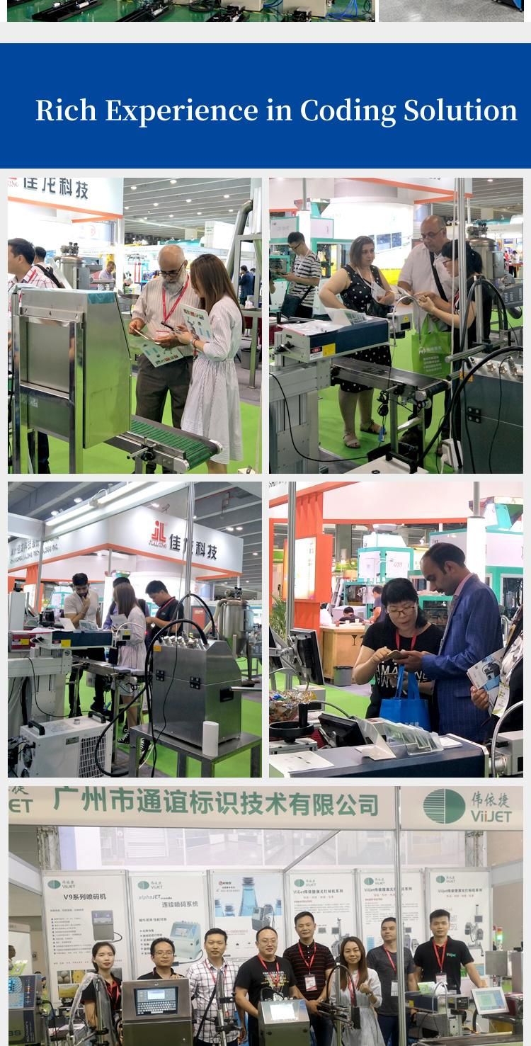 Low Cost Mini Laser Printer Machine for Logo/Code Marking; Gift/Decoration