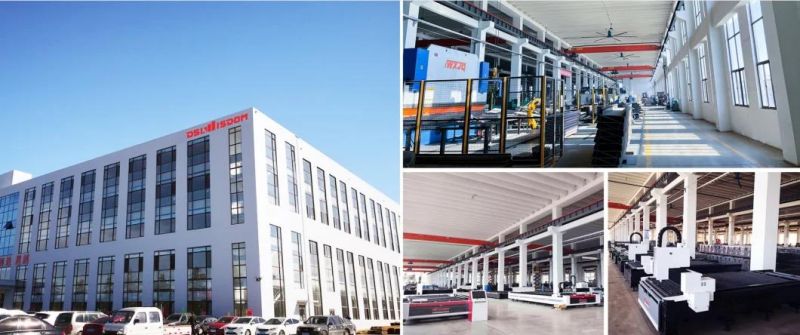 China Laser Cutting Machine Factory 1000 Watt 2000 Watt Fiber Laser Cutter for Metal