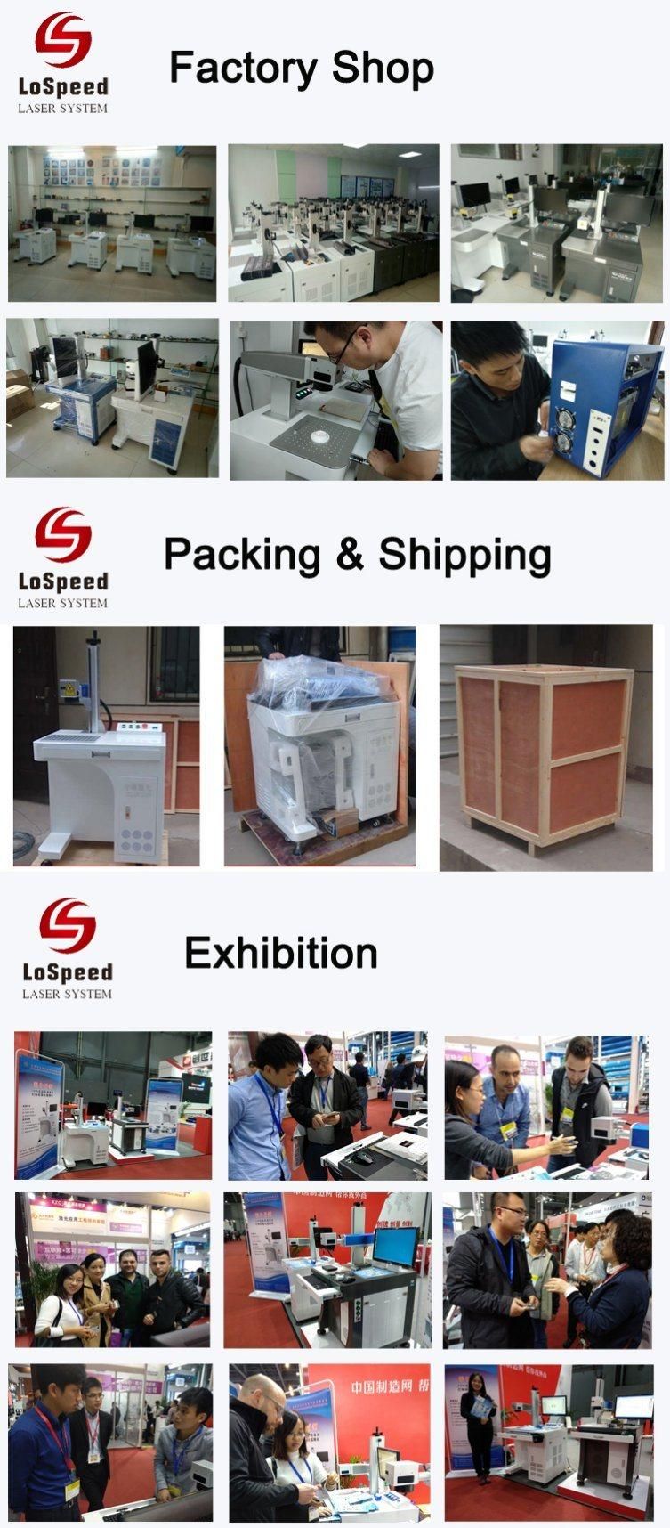 Sea Shell Laser Marking Engraving Machine