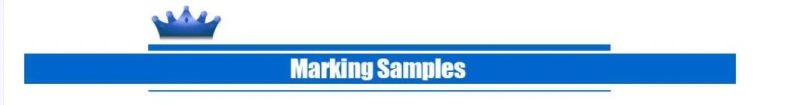 CO2 Laser Marking Machine for Metal Leather Paper Plastic