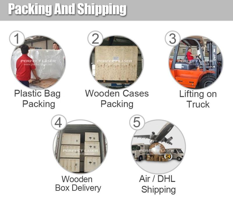 Low Cost Leather Laser Engraving Machine for Sale with Ce FDA