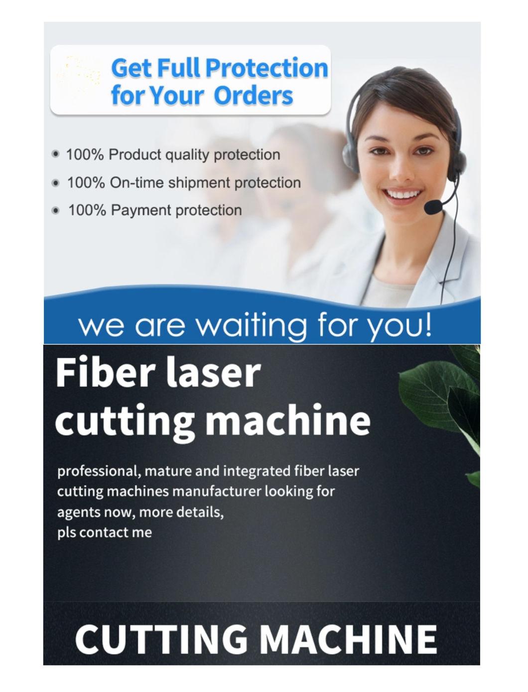 Fiber Laser Cutting Machine for Metal (Ta-Flx3015-2000W) with Factory Price