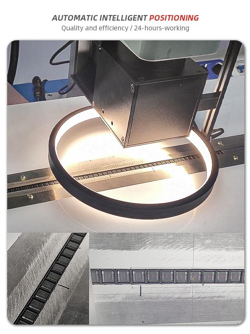 IC Fiber Laser Marking Machine with CCD and Conveyor Belt