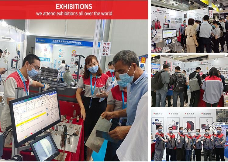 Fiber Laser Marking Machine Price for Marking Medical Box Product Date
