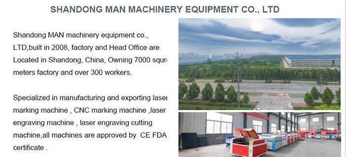 Metal 20W Fiber Laser Marking Machine with Optional Size Rotary Device