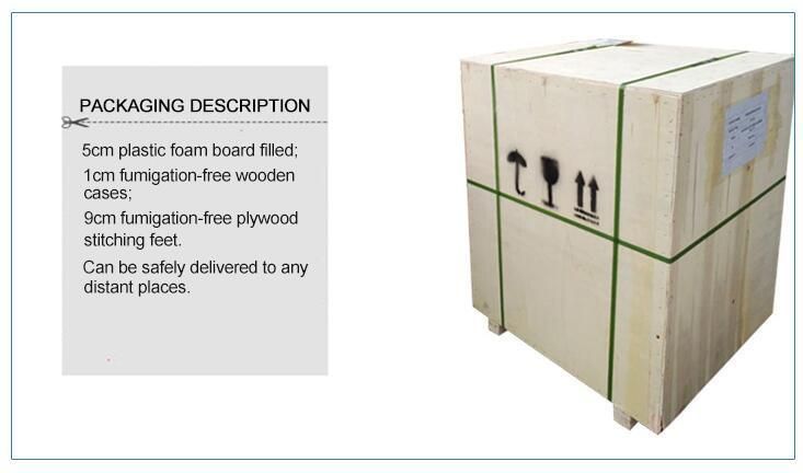 Fiber Laser Color Marking Engraving Machine for Metal Label Army Nameplate