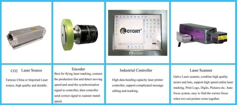 Cycjet CO2 Laser Marking /Coding Machine for Cosmetic Box