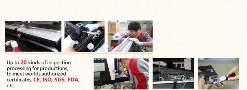 Ipg & Spi Laser Cutting Machine for Metal Sheet
