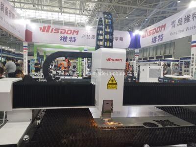 China Good Supplier CNC Fiber Laser Cutting Machine with Metal Sheet Wt-4020d 2000W
