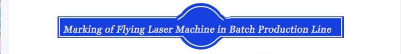 Flying Laser Marking Machine in Batch Production Line