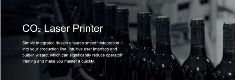 CO2 Flying Laser Printer for Plastic Metal Medicine Boards Pet Bottles