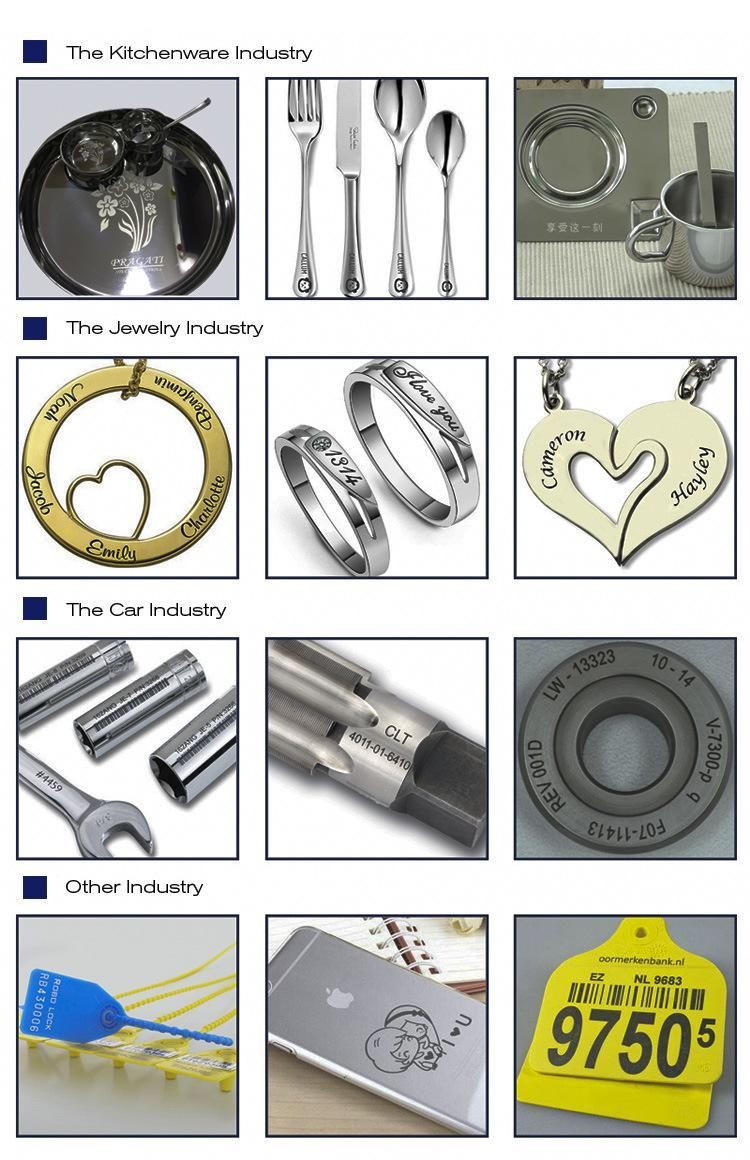 Fiber Laser Marking Machine for Metal/Jewelry/Plastic/Bird Ring Laser Engraving Machine