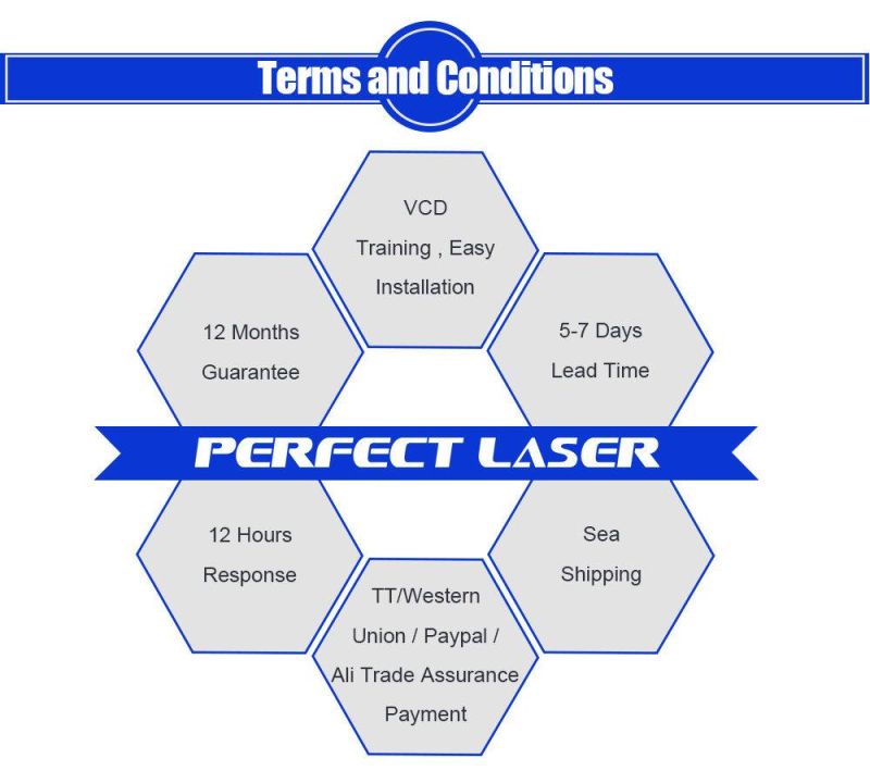 High Precision Laser Marker for Super Star Photo on Plate