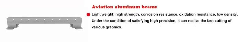 High-Speed CNC Fiber Laser for Metal Stainless Steel Aluminum Cutting